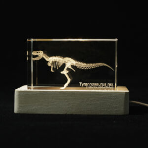Tyrannosaurus rex