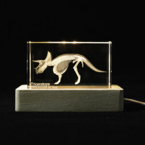 Triceratops