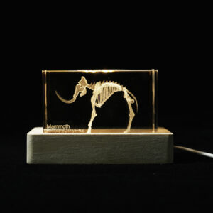 Mammoth